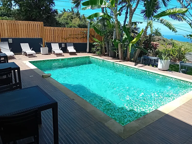 La piscine, ses transats et la mer au loin derrière les palmiers
